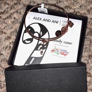 Alex and Ani Bracelet
